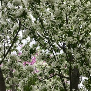 Meet your Posher, Dulce